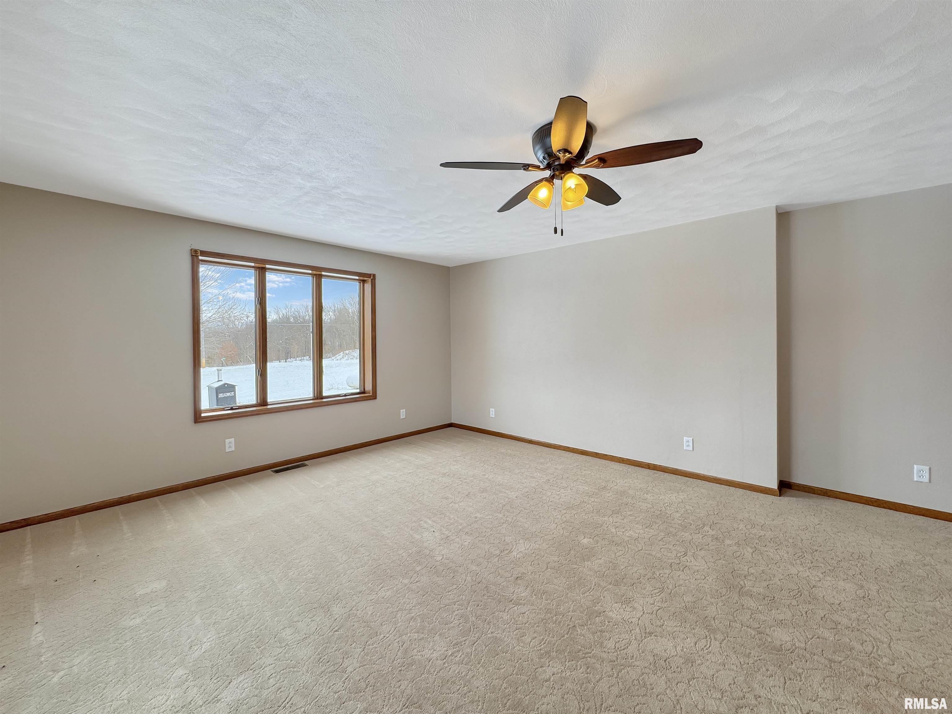 15972 North Ridge Road Lewistown, IL 61542 - Photo 23 of 78