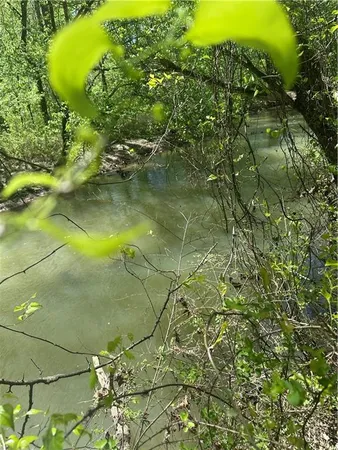 a view of forest
