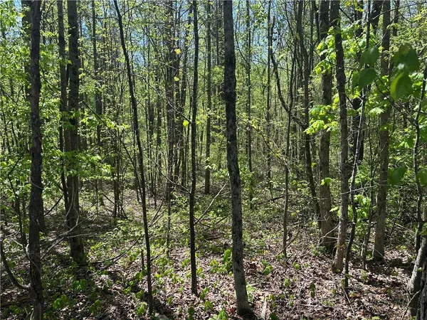 a view of outdoor space and garden