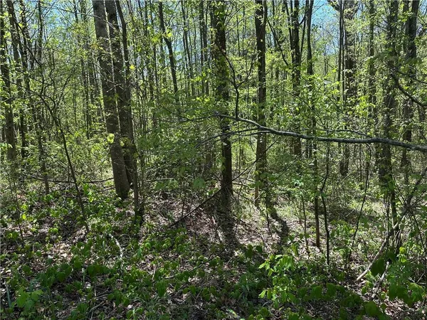 $85,000 | 0 North 411th Highway, Chatsworth, GA 30705