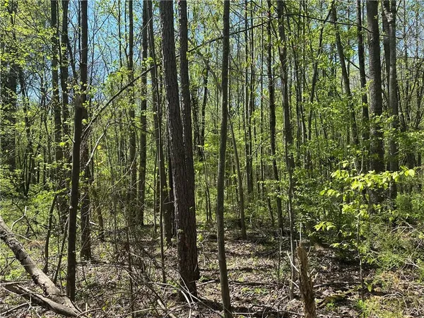 $85,000 | 0 North 411th Highway, Chatsworth, GA 30705