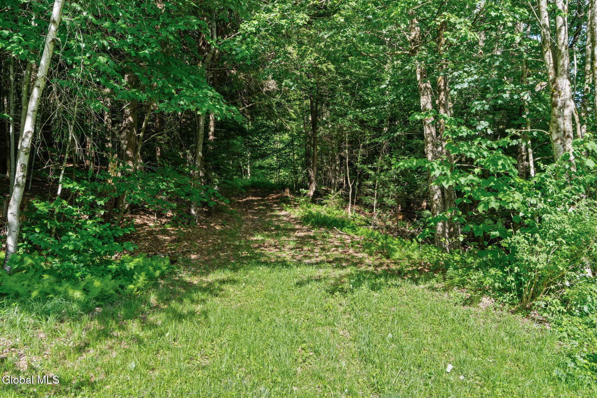 L9 Goat Farm Road Gloversville, NY 12078 - Photo 33 of 41 33-web-or-mls-goat-farm-rd