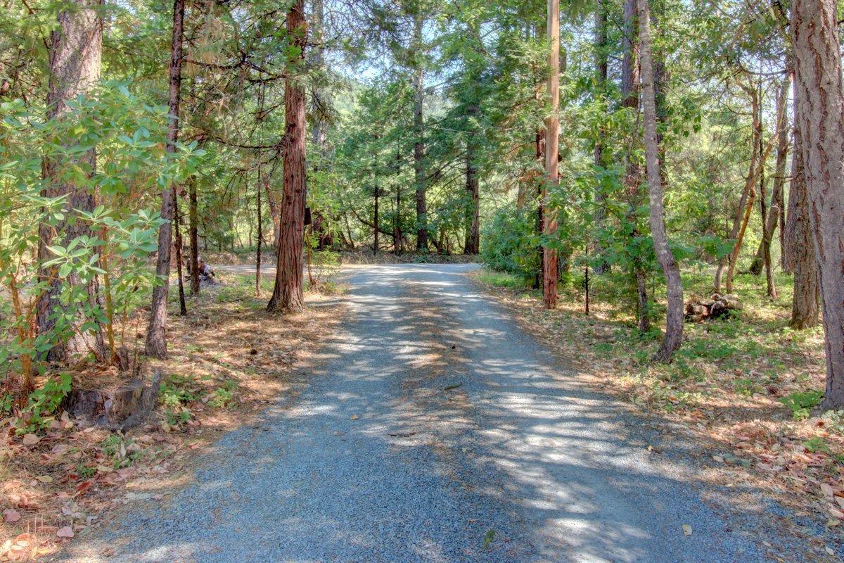 770 Hitching Post Road Grants Pass, OR 97526 - Photo 29 of 29 a view of a forest with trees