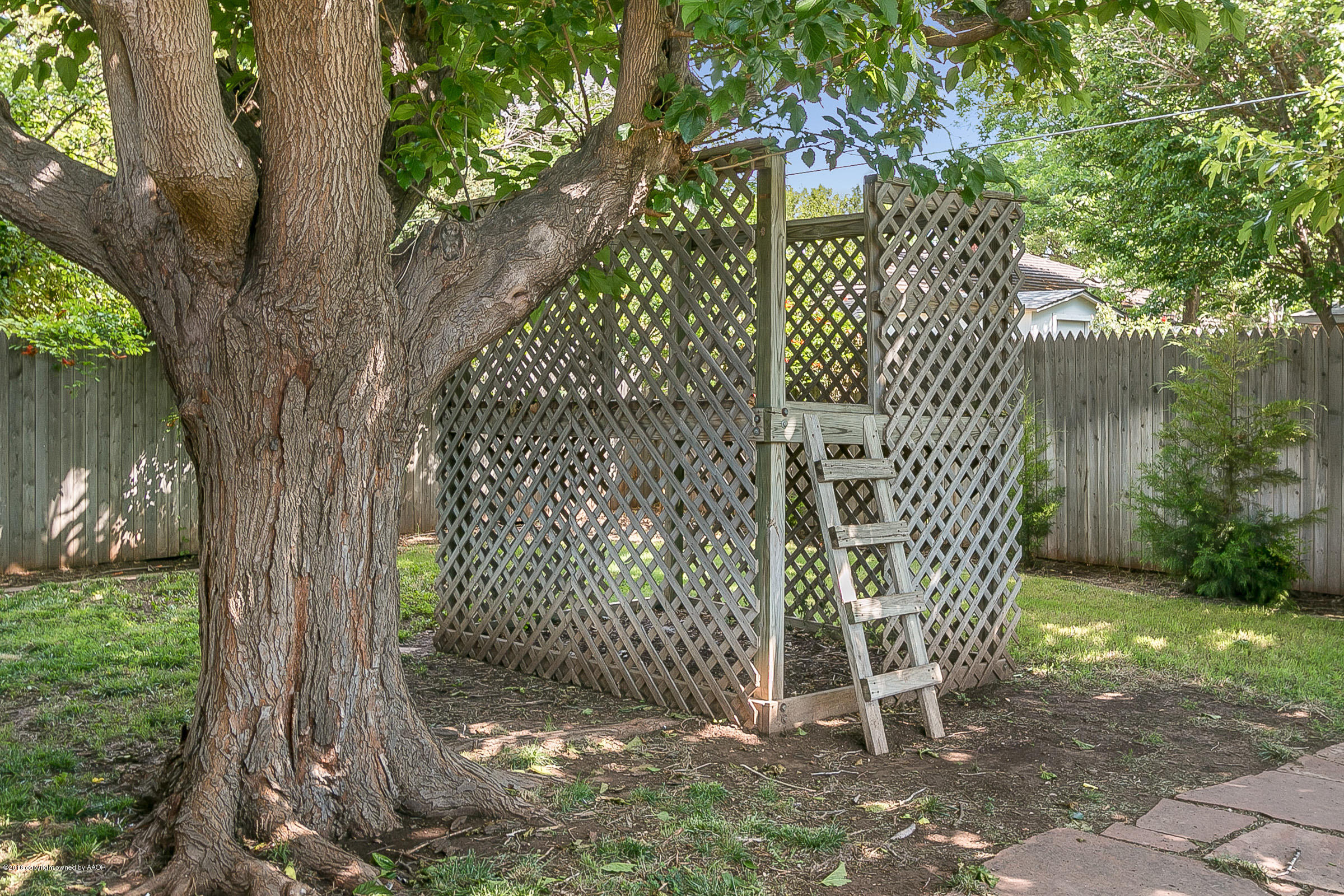 6711 Gainsborough Road Amarillo, TX 79106 - Photo 22 of 25 024_Back Yard 2
