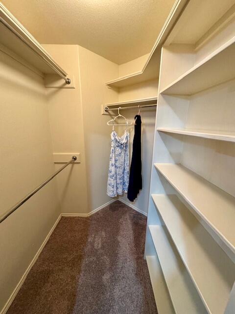 4028 125th Street Lubbock, TX 79423 - Photo 20 of 44 a view of walk in closet with clothes