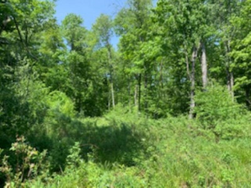 Sw Sw Nw Sw Southwest Sw Nw Sw Buck Ridge Drive Merrill, WI 54452 - Photo 1 of 1