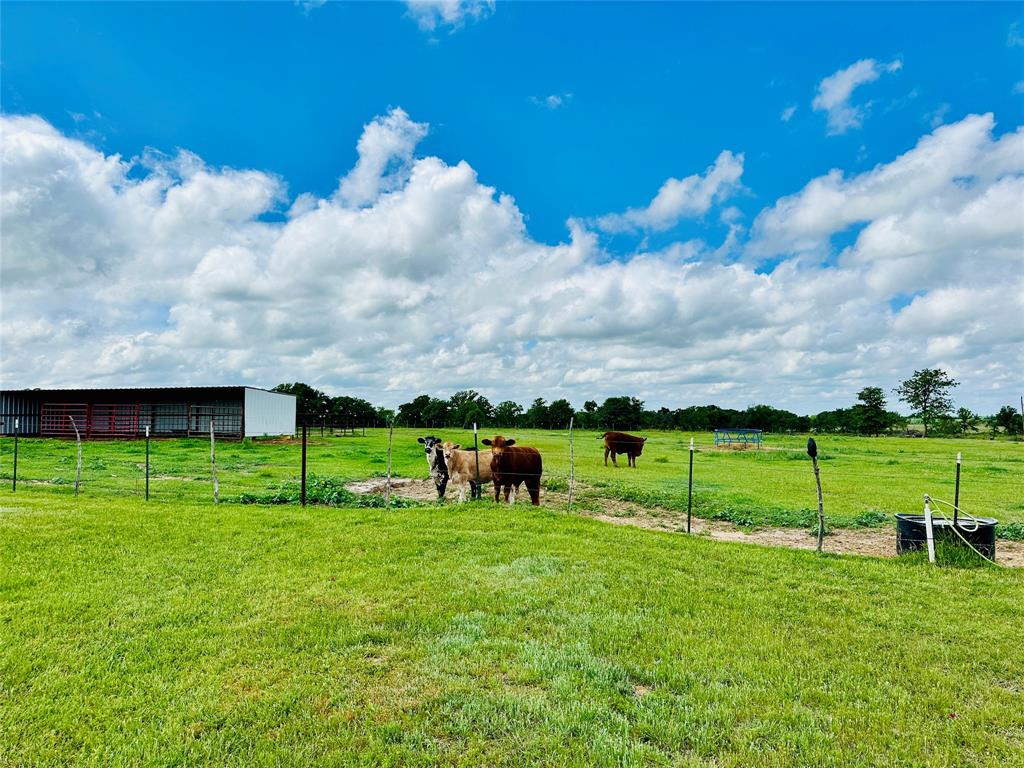 251 County Road 225 Rising Star, TX 76471 - Photo 34 of 40 a view of yard with swimming pool and outdoor seating