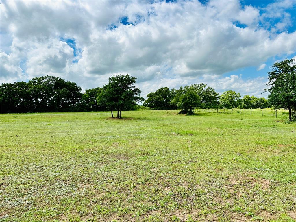 251 County Road 225 Rising Star, TX 76471 - Photo 36 of 40 a view of a green field with an outdoor space