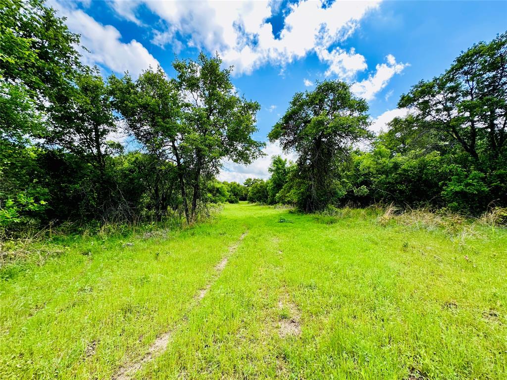 251 County Road 225 Rising Star, TX 76471 - Photo 37 of 40 a view of yard with green space