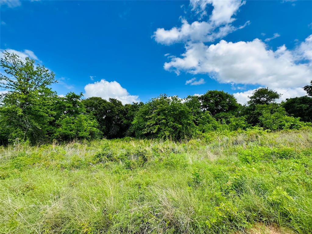 251 County Road 225 Rising Star, TX 76471 - Photo 38 of 40 a view of a garden