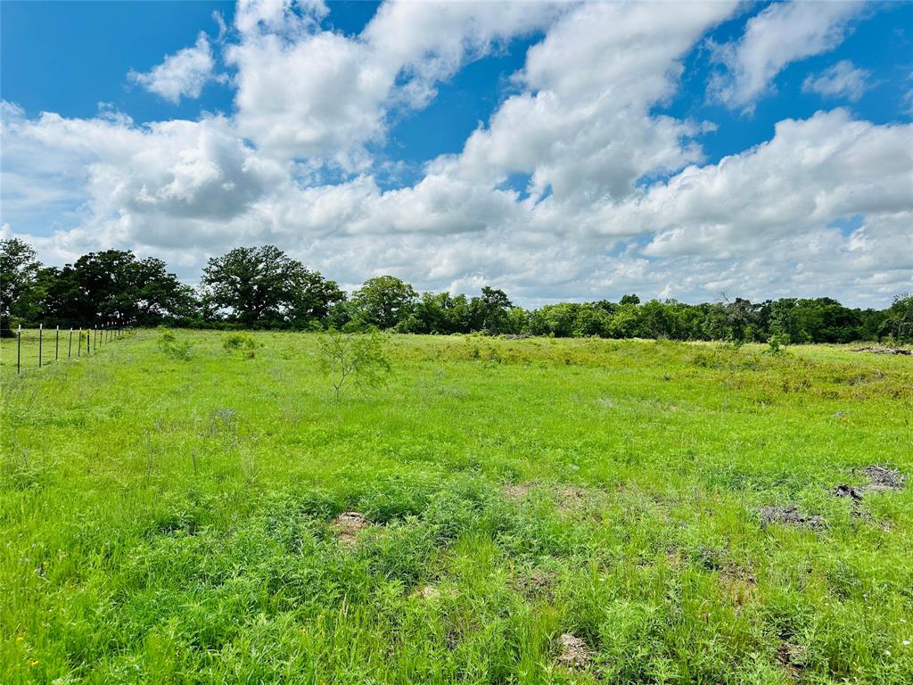 251 County Road 225 Rising Star, TX 76471 - Photo 39 of 40 a view of a grassy field