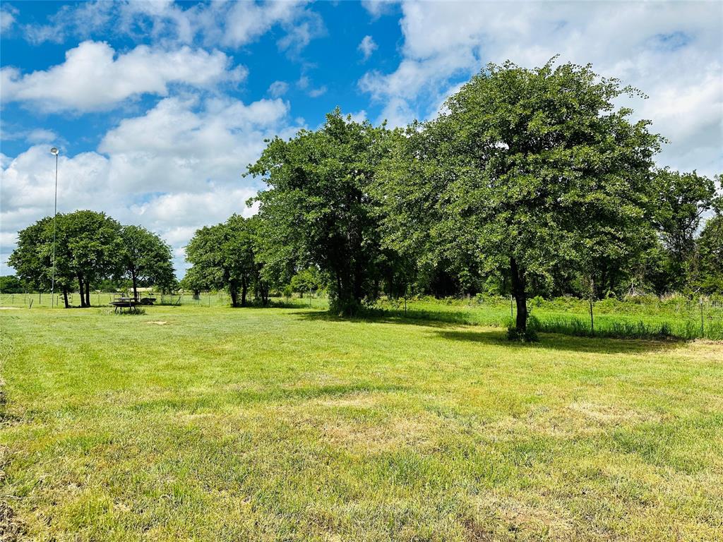 251 County Road 225 Rising Star, TX 76471 - Photo 9 of 40 a view of a trees and basketball court