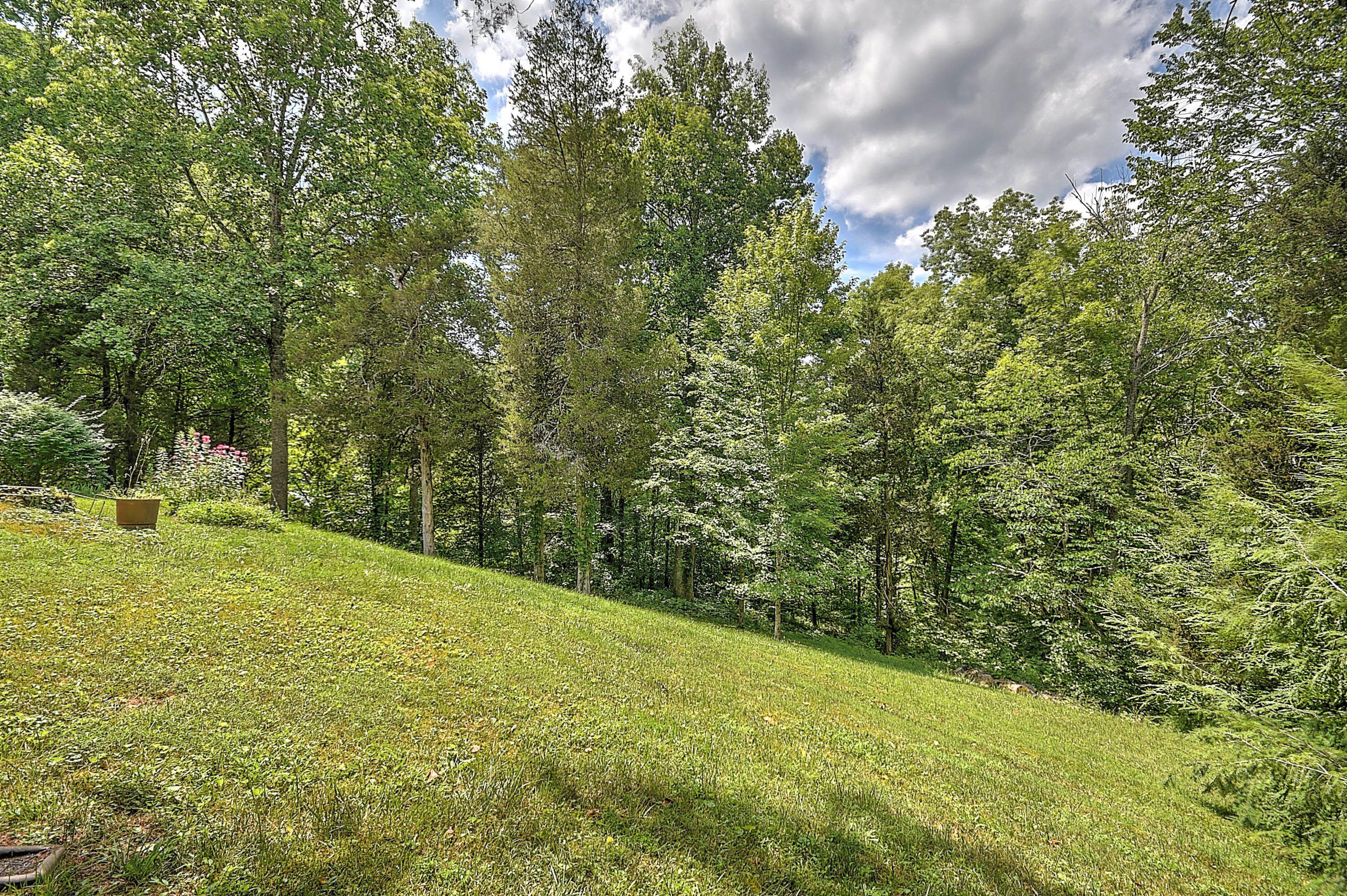 260 Pendleton Road Kingsport, TN 37664 - Photo 54 of 56 Pendleton-58