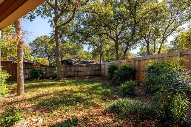a view of a back yard