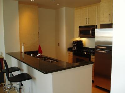 great kitchen with upgraded stainless steel appliances and Italian birch cabinets