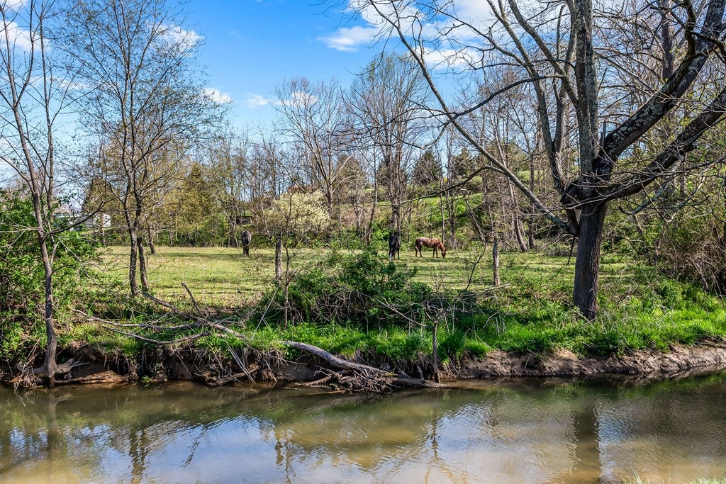 3586 Black Lick Road Rural Retreat, VA 24368 - Photo 51 of 54 Gallery Image 51