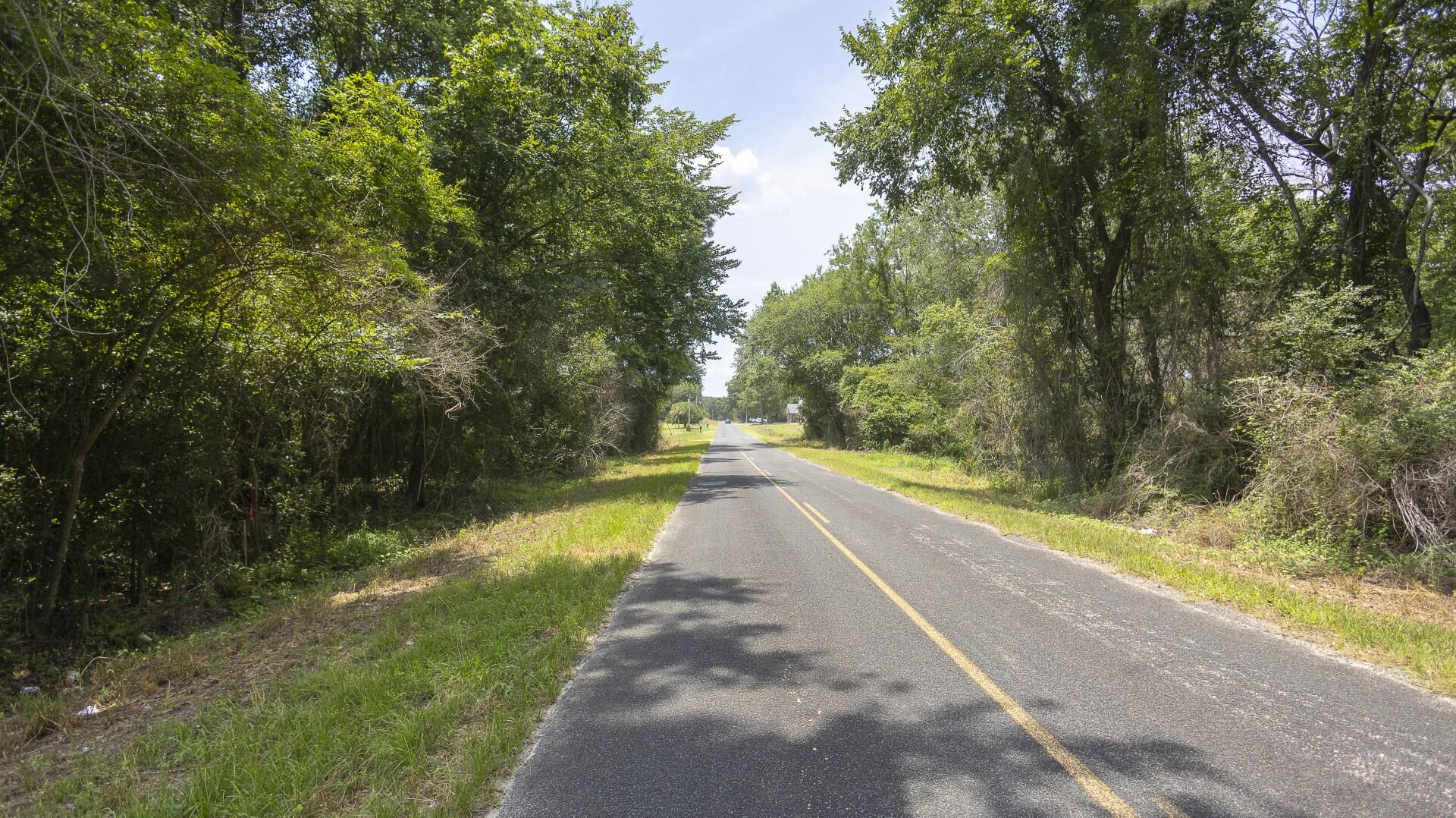 2 Joseph Lemon And Dingle Road Manning, SC 29102 - Photo 4 of 44