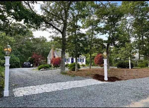 a view of a park with large trees