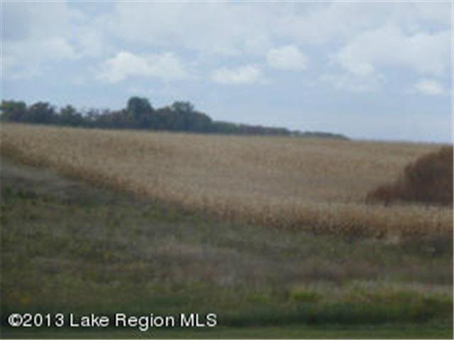Xxxx Eagle Ridge Road Fergus Falls, MN 56537 - Photo 4 of 6 Gallery Image 4