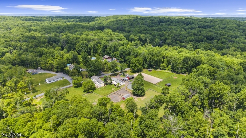 179 Lindbergh Road Hopewell, NJ 08525 - Photo 2 of 46 a view of a forest with a street