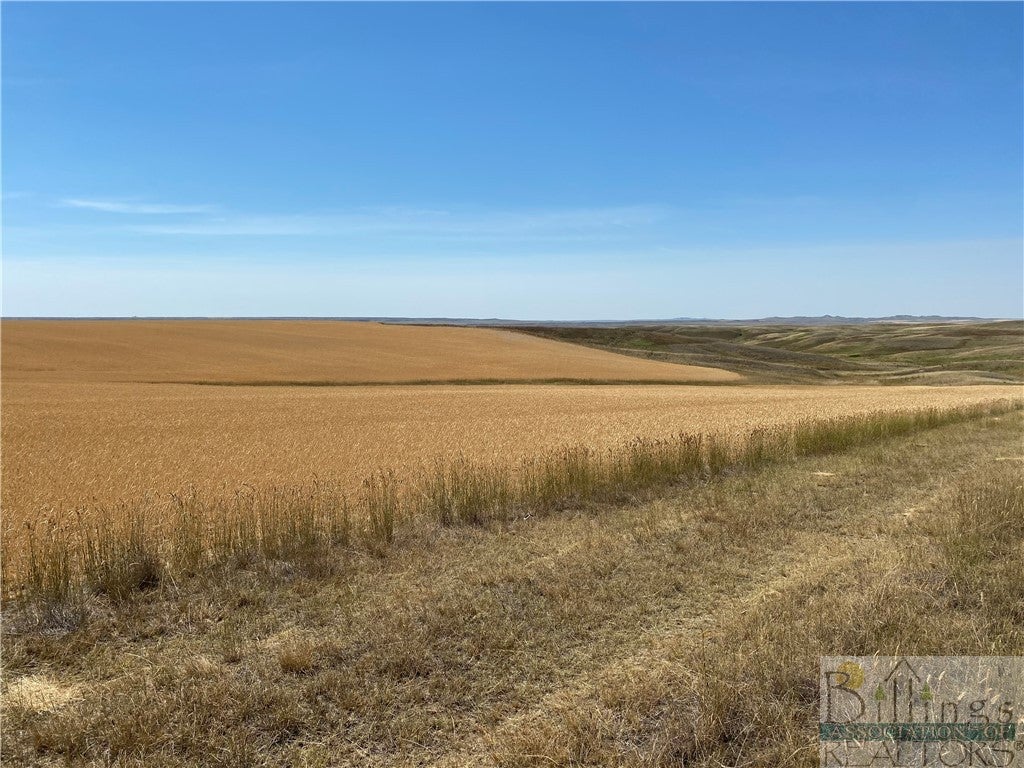 0 County Road Glendive, MT 59330 - Photo 1 of 1 Gallery Image 1