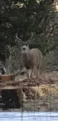 $575,000 | 14551 Cattail Lane, Grass Valley, CA 95945