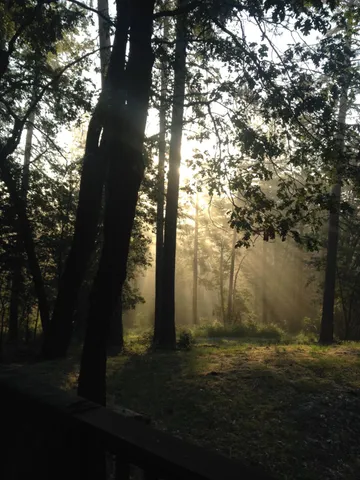 $575,000 | 14551 Cattail Lane, Grass Valley, CA 95945