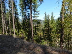 Xxx Highline Road Chewelah, WA 99109 - Photo 1 of 2 Gallery Image 1