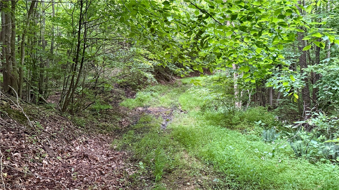 Marlott Run Road Kimbolton, OH 43749 - Photo 12 of 49