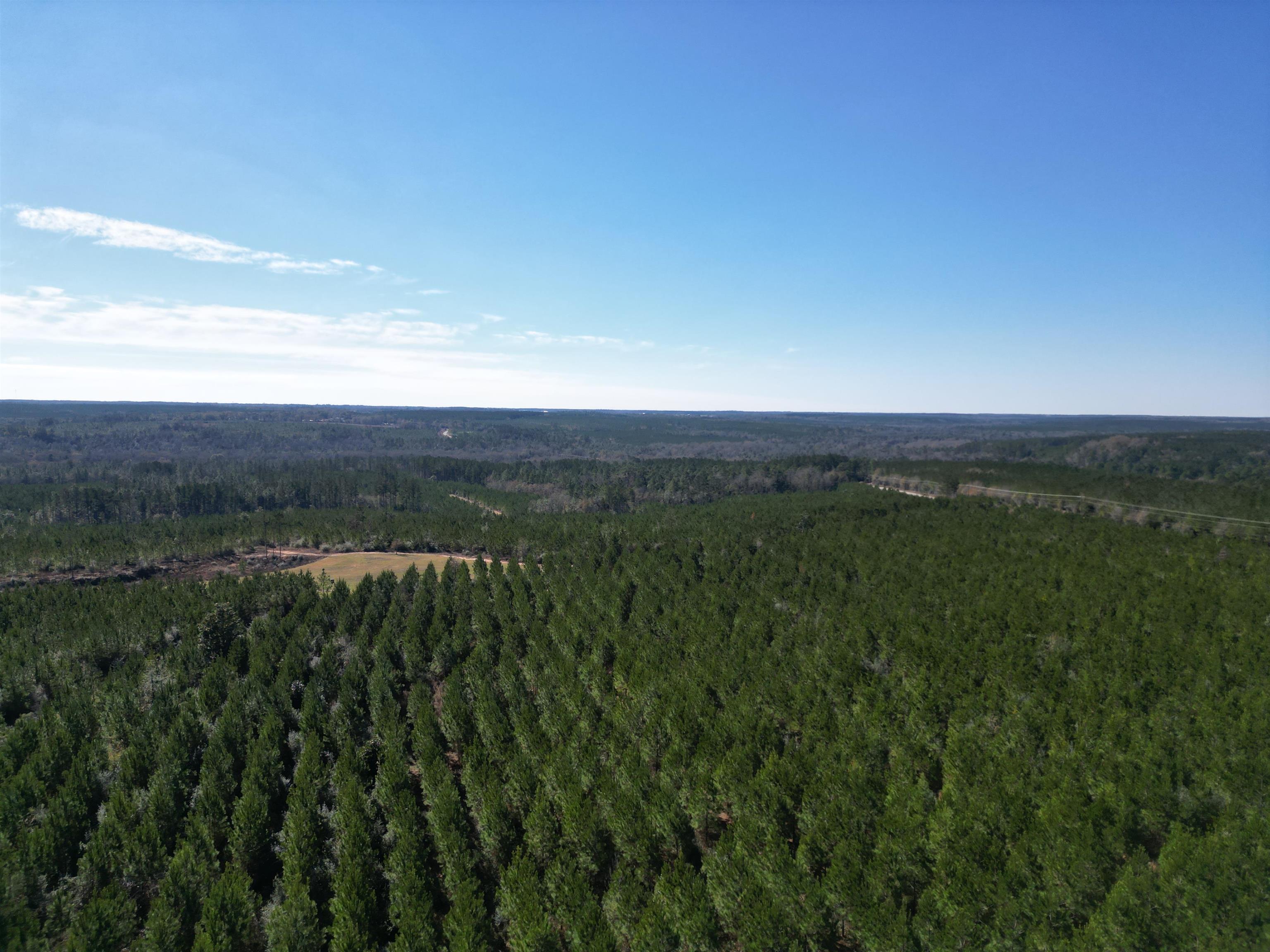 Lot 5 Robinsonville Road Atmore, AL 36502 - Photo 9 of 18