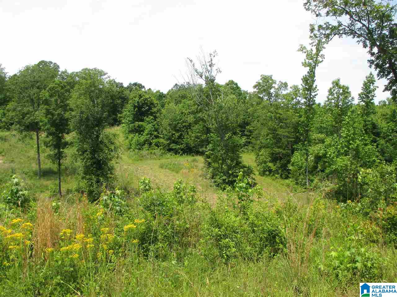 14741 Duck Springs Road Attalla, AL 35954 - Photo 26 of 41