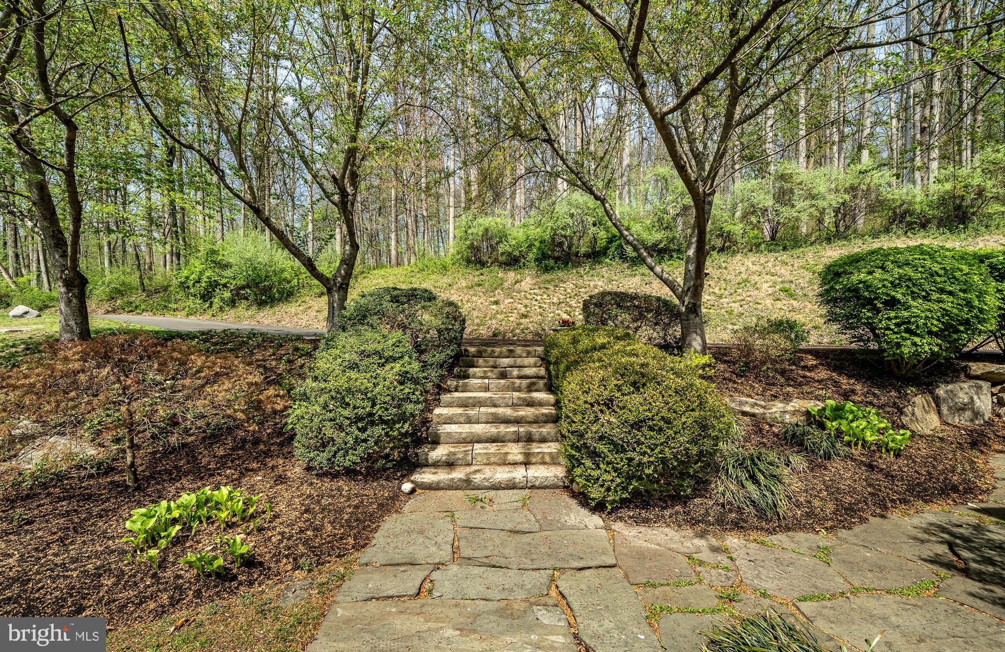 835 County Park Road Pottstown, PA 19465 - Photo 75 of 90 Gallery Image 75