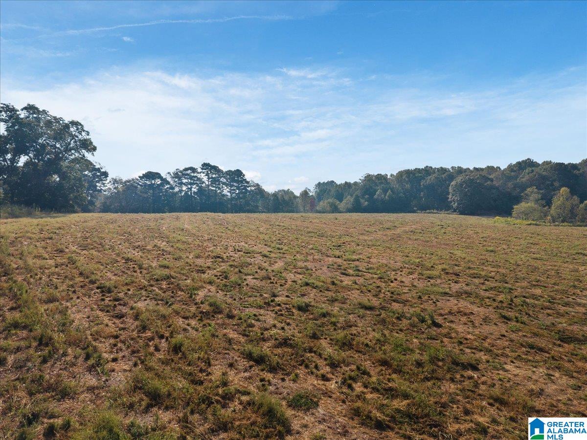 21 County Road, Unit 2 00 Horton, AL 35980 - Photo 6 of 17