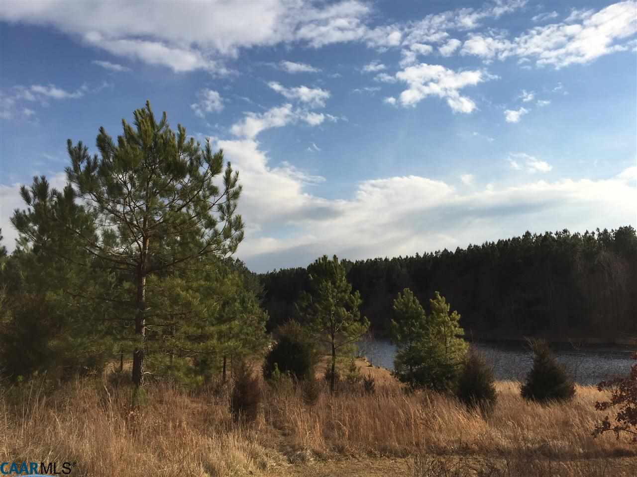 Lot 247 Landover Road Troy, VA 22974 - Photo 14 of 22 a view of a lake in middle of forest