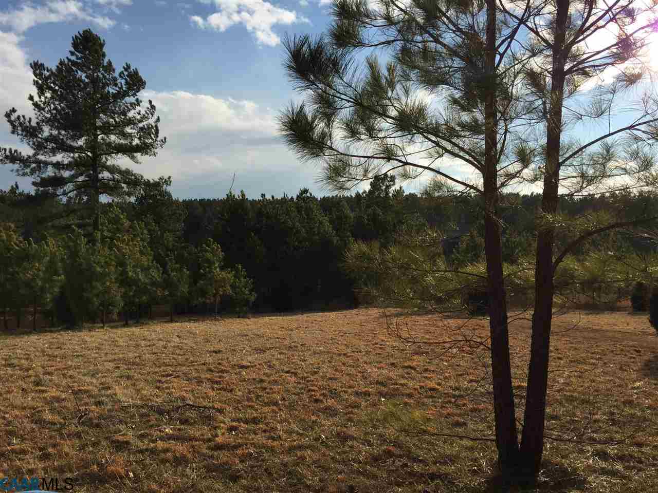 Lot 247 Landover Road Troy, VA 22974 - Photo 3 of 22 a view of yard
