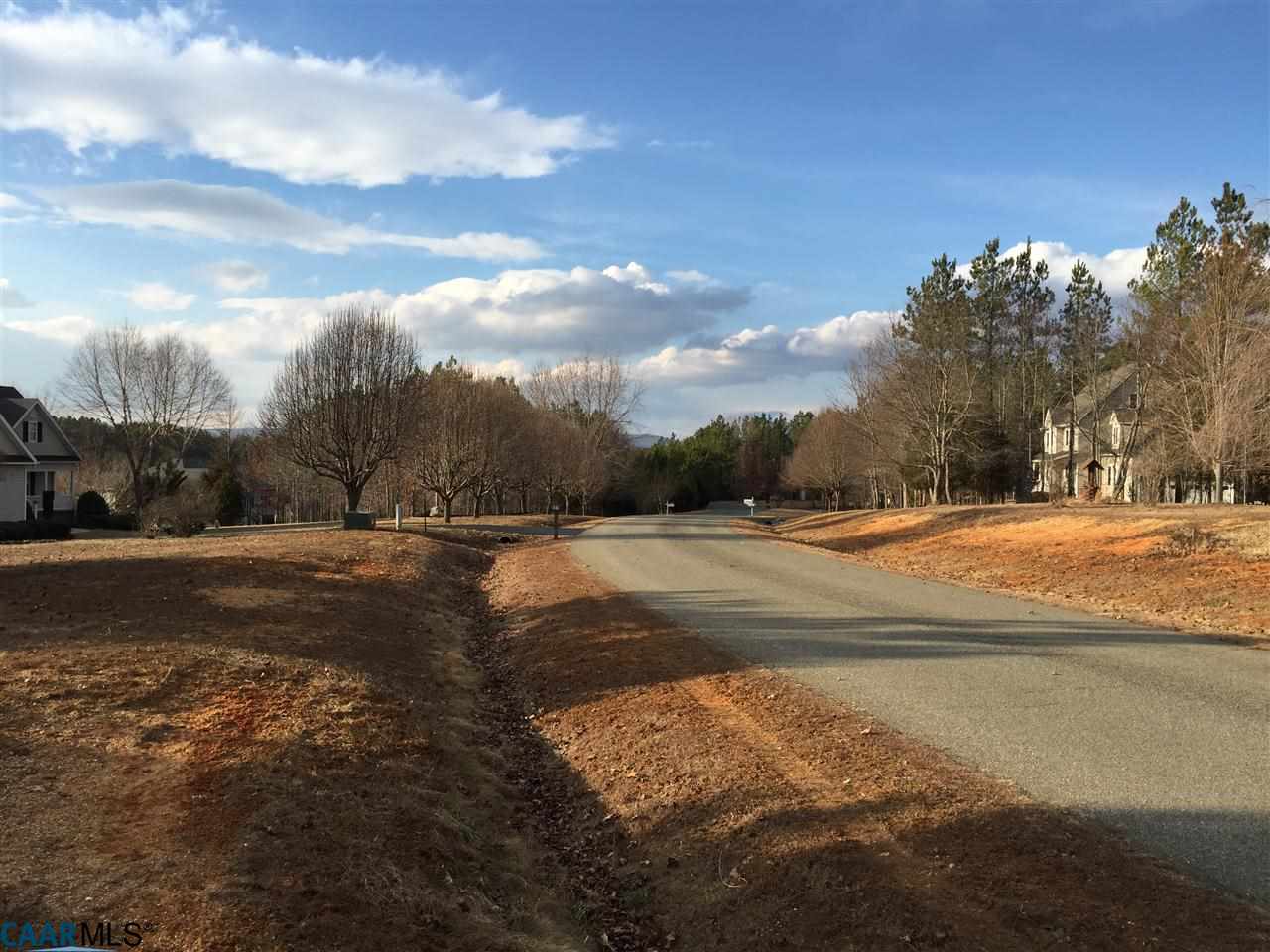 Lot 247 Landover Road Troy, VA 22974 - Photo 5 of 22 a view of pool with mountain view