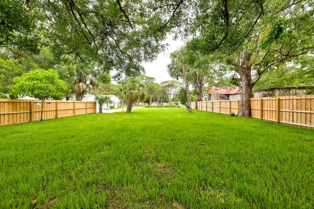 a view of a yard with a large trees