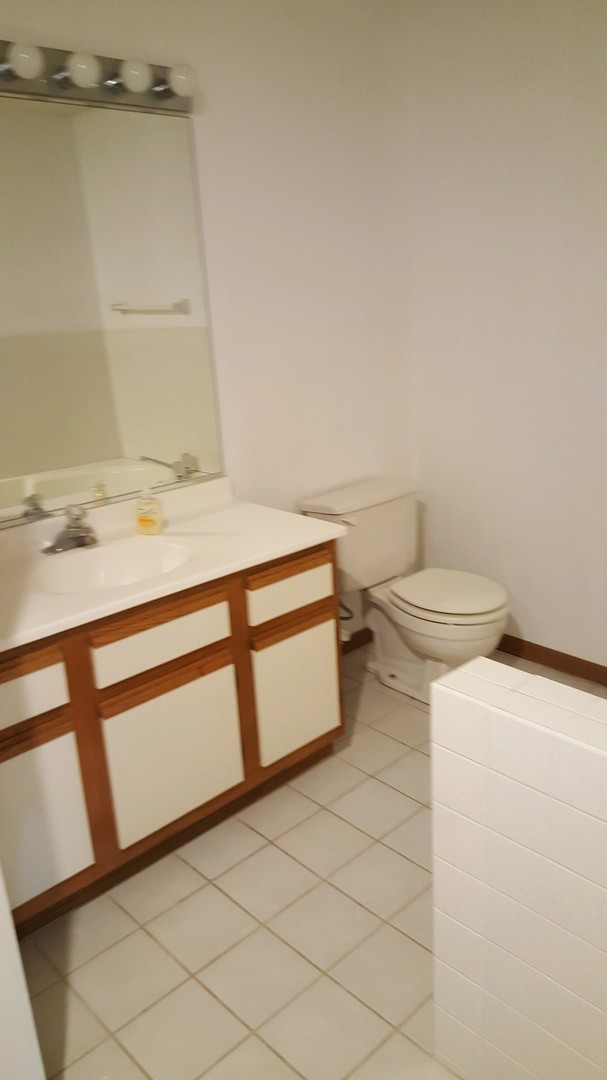 332 Park Ridge Lane, Unit E Aurora, IL 60504 - Photo 13 of 21 a bathroom with a sink and a toilet