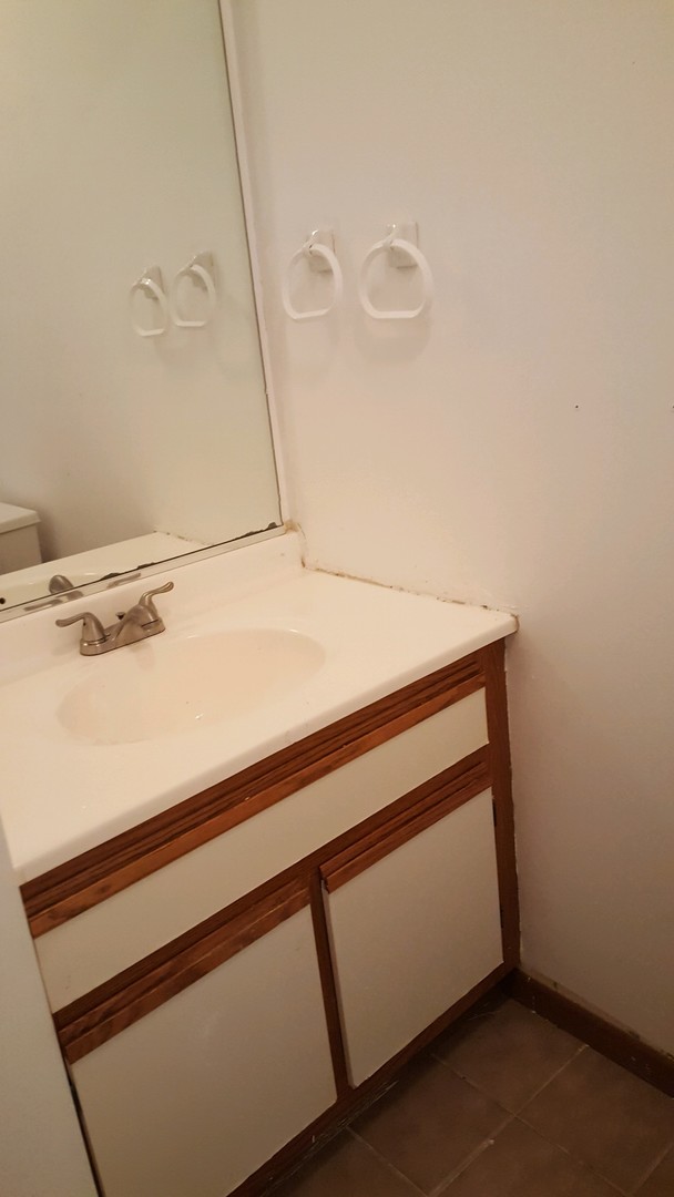 332 Park Ridge Lane, Unit E Aurora, IL 60504 - Photo 9 of 21 a close up of a sink