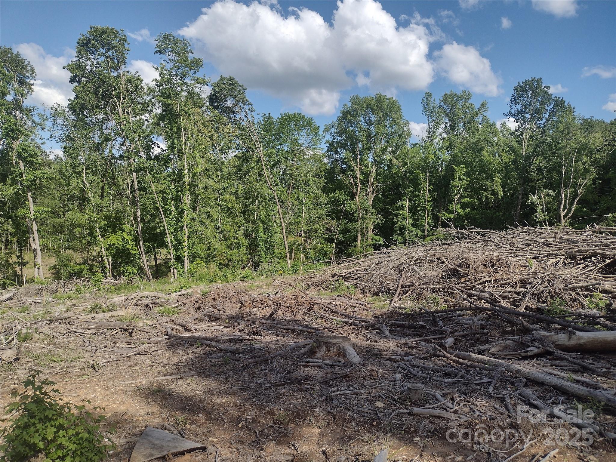 1812-1806 Trinity Church Road Monroe, NC 28112 - Photo 3 of 5 a view of a yard with plants and a tree