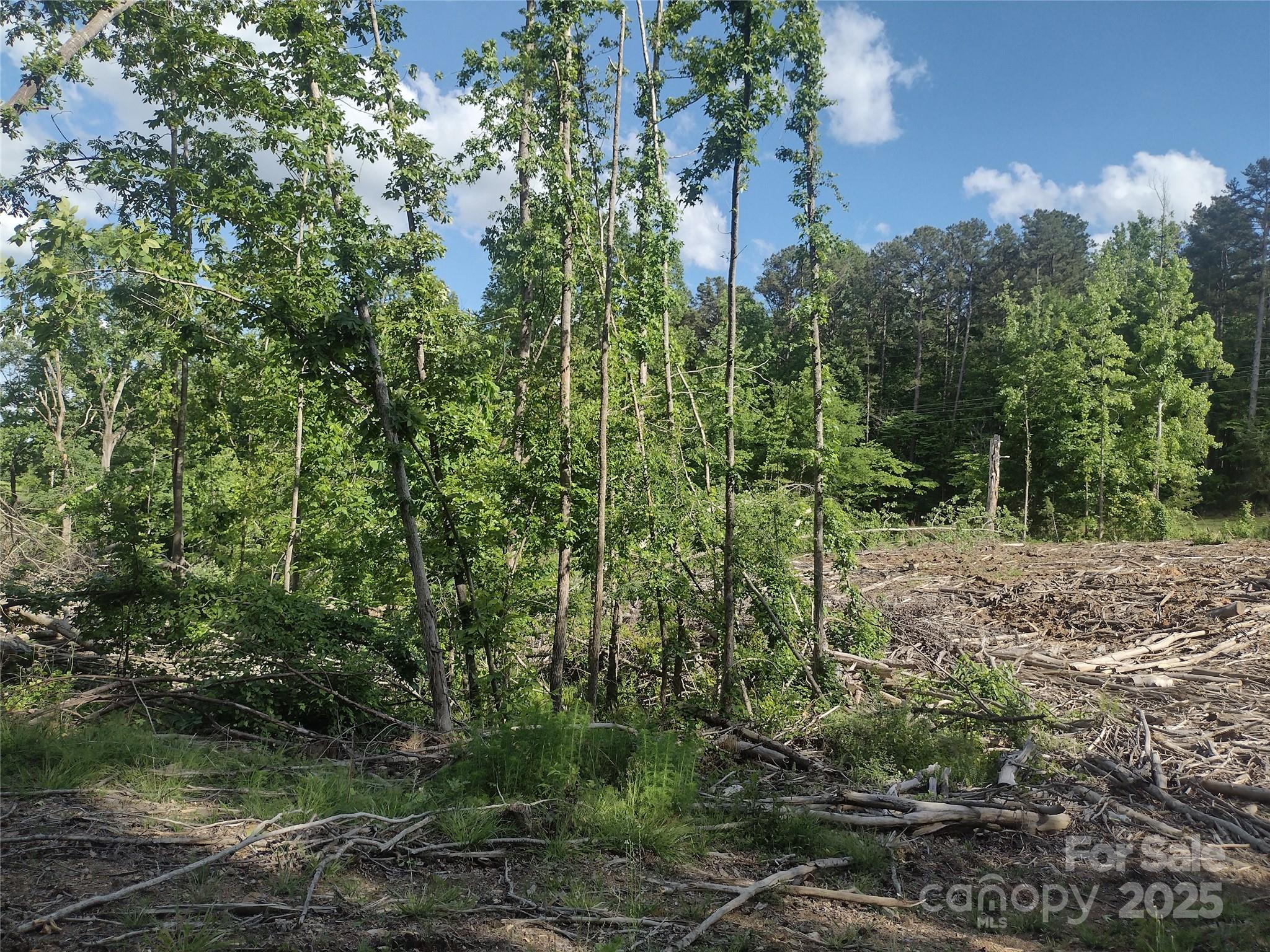 1812-1806 Trinity Church Road Monroe, NC 28112 - Photo 4 of 5 a view of a forest filled with trees