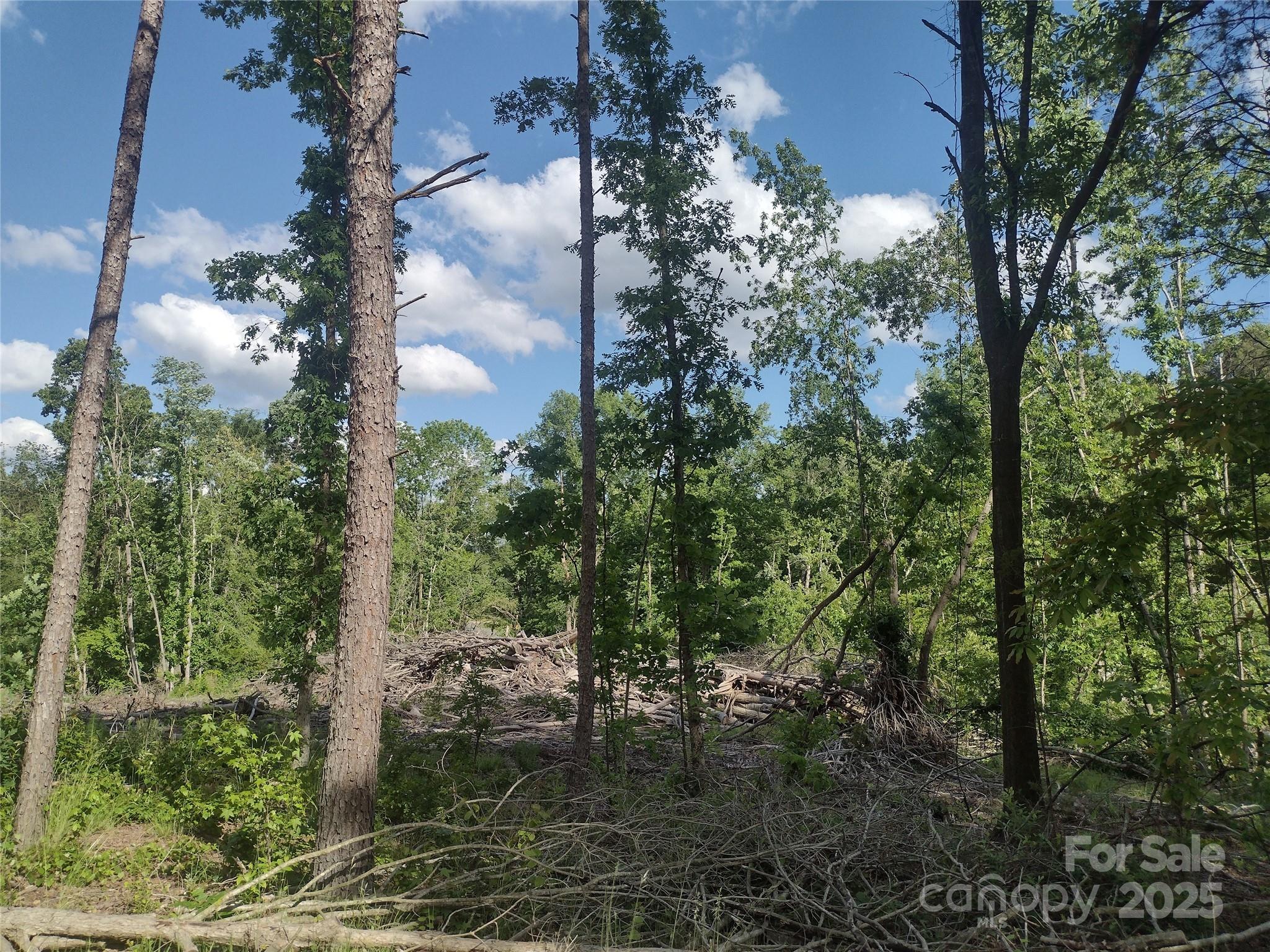 1812-1806 Trinity Church Road Monroe, NC 28112 - Photo 5 of 5 a backyard of a house with lots of green space