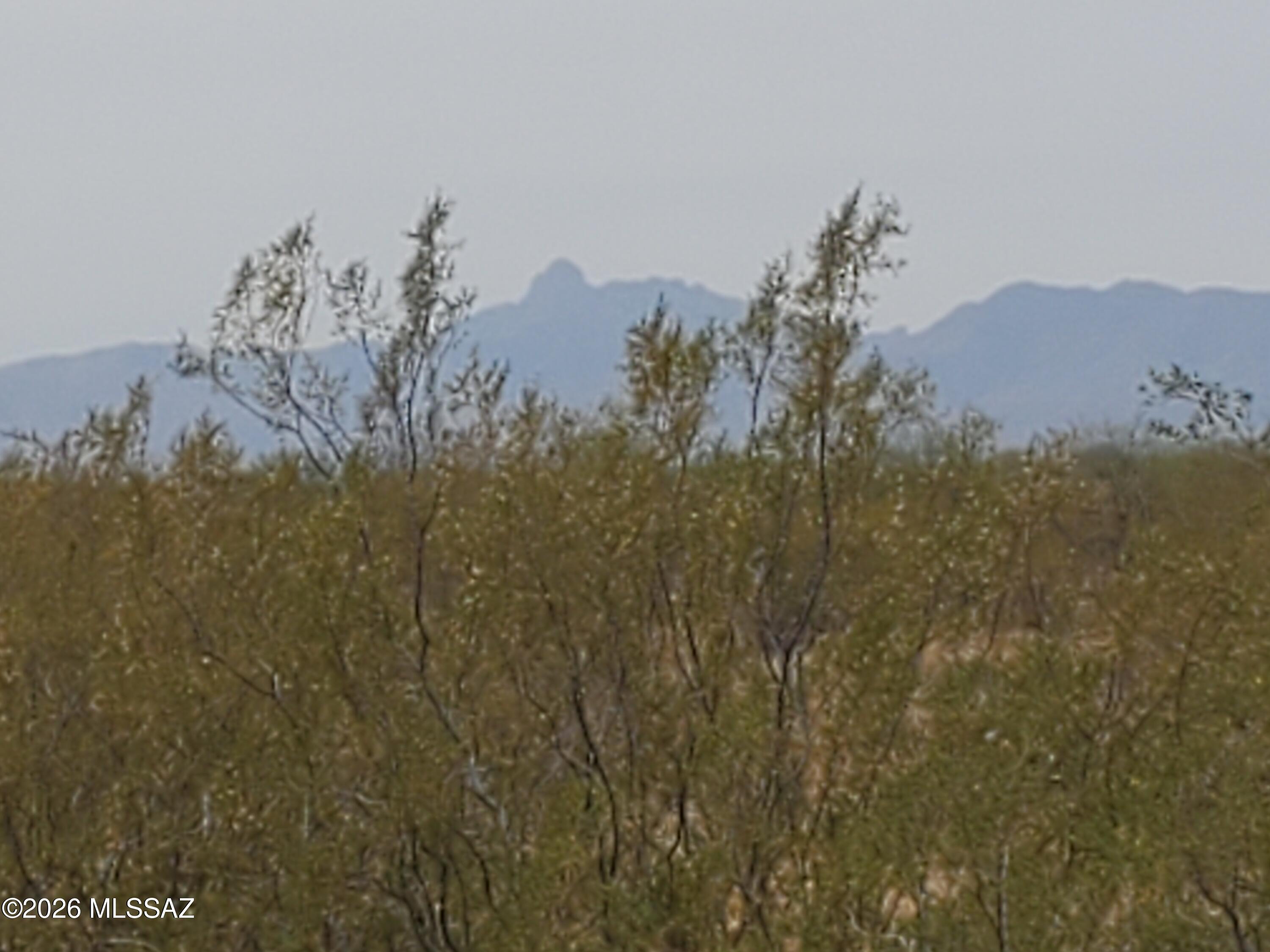 7925 South Worden Road Tucson, AZ 85735 - Photo 4 of 20 a view of a tree in a field