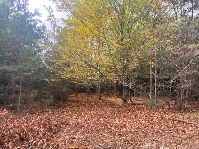 Nine 9 Mile Road Kaleva, MI 49645 - Photo 31 of 31 IMG_6863