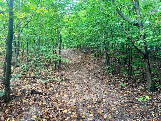 $355,000 | Nine 9 Mile Road, Kaleva, MI 49645