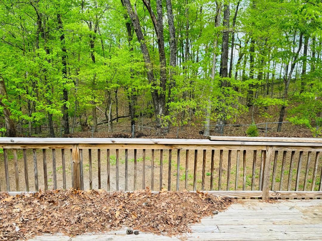 2067 Dunbar Road Woodlawn, TN 37191 - Photo 4 of 6 Gallery Image 4