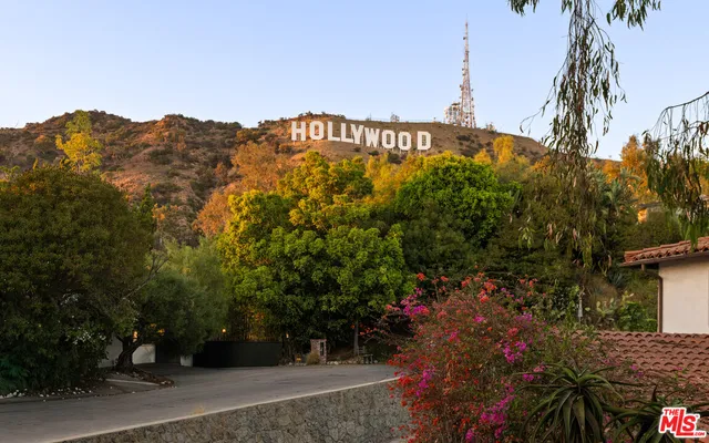 a view of a sign in a yard