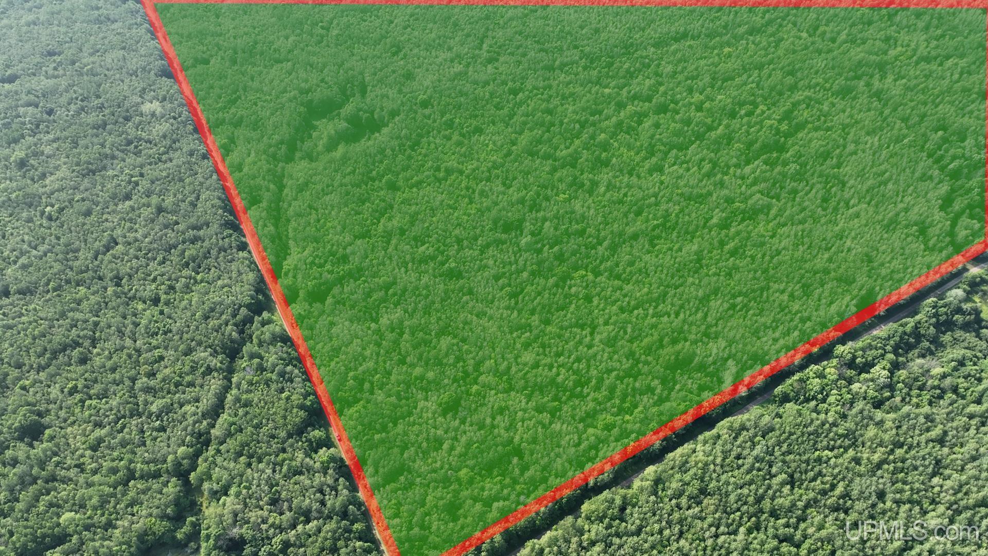 Tbd Curlew Road Ontonagon, MI 49953 - Photo 4 of 36