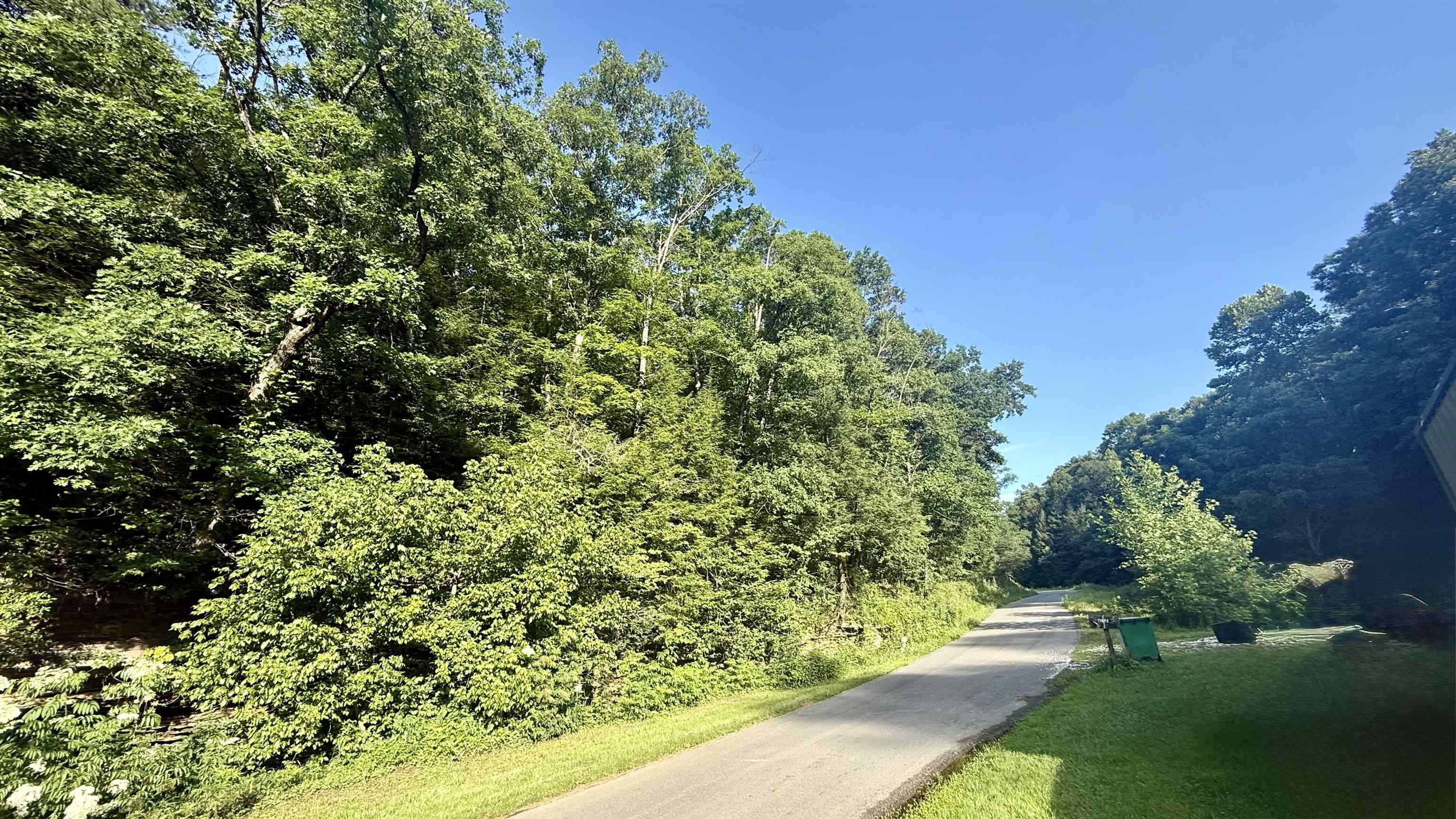 0 Laurel Road Greenup, KY 41144 - Photo 10 of 10