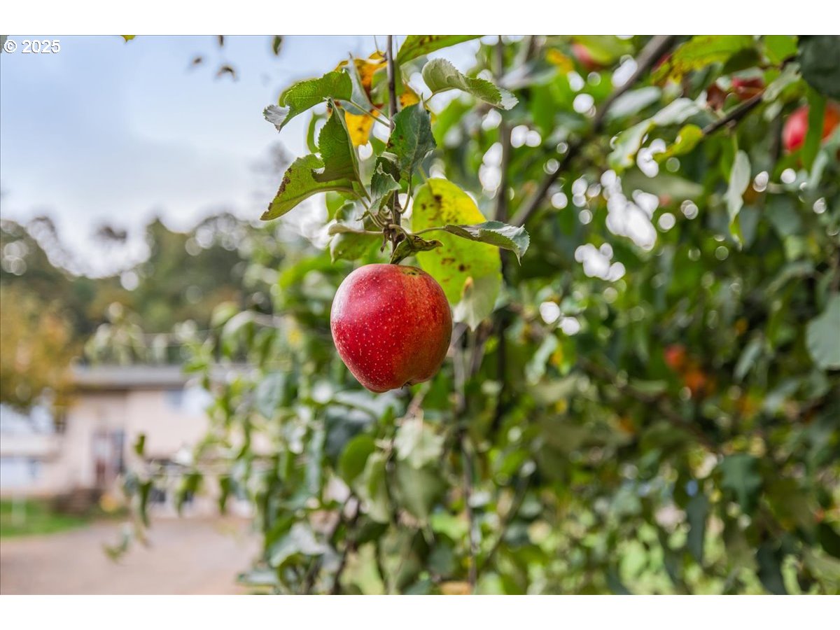 2398 Cole Road South Salem, OR 97306 - Photo 35 of 38